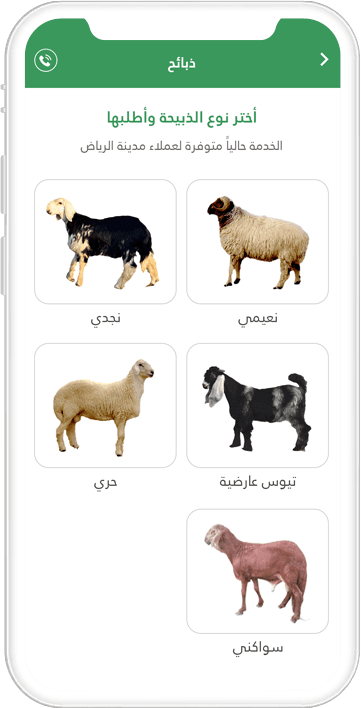 نبذة عن التطبيق